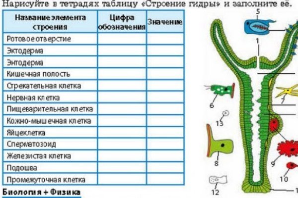 Ссылка на кракен в тор на сегодня