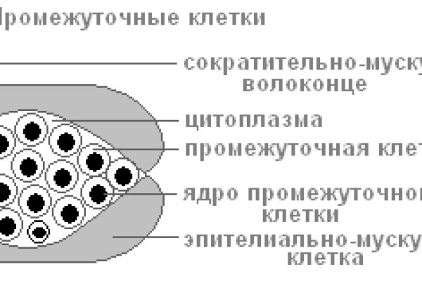 Кракен 16 вход